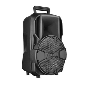 Altavoz Amplificador de Karaoke Portátil Recargable con Subwoofer 3D de 8 Pulgadas, Precio de Fábrica Más Bajo - Product Image 3