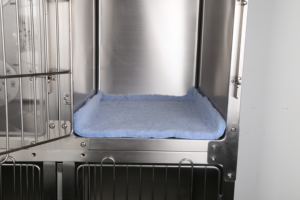 KA-509 toptan dayanıklı Pet kafesleri yuvarlak köşeli hastane büyük paslanmaz çelik köpek kafesleri ayırıcı ile - Product Image 4