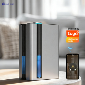 <span class=keywords><strong>D</strong></span>éshumidificateur de bureau miniature intelligent à commande à distance professionnelle avec écran LCD numérique pour la maison HASHONE - Product Image 1