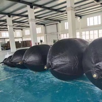 Bouchons gonflables en caoutchouc pour l'essai de tuyau d'égout