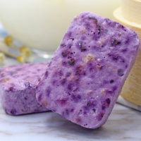 Camilan Renyah Lezat Beku Kering Seluruh Blueberry Dalam Proses FD