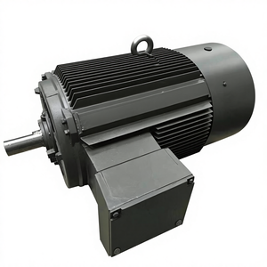 Motor Rand 23109945 de Fábrica para Compresores de Aire de Tornillo Industriales, Piezas de Repuesto para Motor de Compresor - Product Image 4
