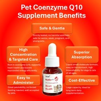 Gotas para la Salud del Corazón Pevet para Perros y Gatos de Todas las Edades, CoQ10, Refuerzo Inmunológico, Vitaminas y Minerales, Absorción Rápida, Seguras, Vida Útil de 2 Años