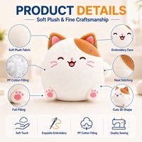 Jouet en peluche personnalisé, du concept au produit réel, service OEM ODM, fabricant d'animaux en peluche personnalisés, chat en peluche doux