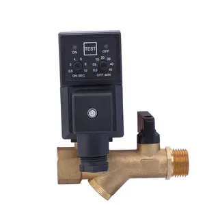 CS-728A Electric Timer Controlled Normally Open Solenoid Automatic Drain Solenoid Valve