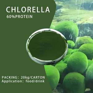 Pasokan Pabrik Bubuk <span class=keywords><strong>Spirulina</strong></span> Chlorella Bubuk Ekstrak Chlorella Grosir Bubuk Chlorella Organik - Product Image 2