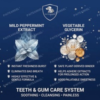 Spray dentaire pour animaux de compagnie, argent colloïdal nano, nettoyage des dents des chiens, éliminateur de mauvaise haleine, certifié GMP, OEM ODM