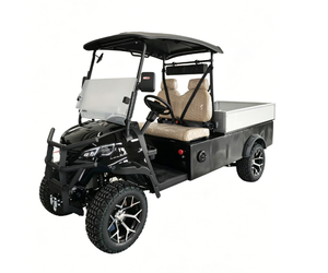 Carrito de Golf Eléctrico de 2 Plazas con Caja de Carga de Aluminio y Enganche de Remolque Reforzado - Product Image 1