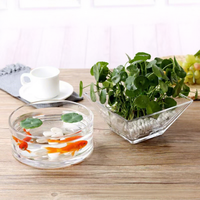 Vase carré en verre transparent, style minimaliste moderne, cylindre plat, tube droit, pour table, mariage, hydroponie, Pothos - Vente en gros usine