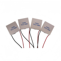 Enfriador Termoeléctrico de Grado Industrial TEC2-19006 40*40*6.3MM, Alta Fiabilidad, Larga Vida Útil, Control Preciso de Temperatura