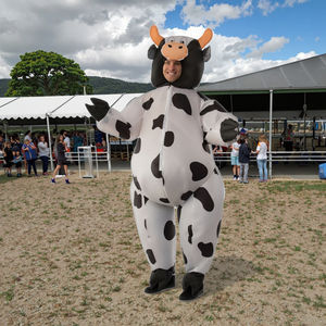 Costume de mascotte de Noël gonflable pour adulte, qualité supérieure, vente directe d'usine, imperméable, en dacron tissé, personnalisable ODM - Product Image 2