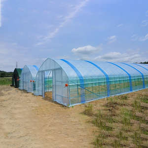 <span class=keywords><strong>Serre</strong></span> <span class=keywords><strong>Tunnel</strong></span> Agricole Monochapelle Économique pour Pépinière avec Ancrage par Tuyaux Circulaires, Marque Bafangle - Product Image 3