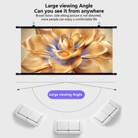 Écran de projection anti-lumière extérieur TELUXSEE, pliable, ALR, grille blanche anti-lumière, écran de projection rétractable mural