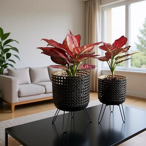 Novedad en Stock: Soportes Metálicos Vintage de Hierro Forjado para Plantas, Estantes de Exhibición para Macetas y Almacenamiento para Hogar y Jardín - Product Image 1