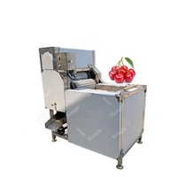 Machine automatique de dénoyautage de cerise pour la machine de décapant de graine de cerise olive