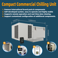 Unidad Condensadora Monobloque de Techo de 1.2hp 115-127v con Motor de Bomba Ecológico de Ahorro Energético para Congelador Comercial - ¡Oferta!