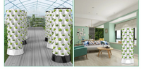 One One Systèmes d'agriculture d'intérieur améliorés Jardin agricole Culture sans sol verticale Tour de culture hydroponique Tour d'ananas