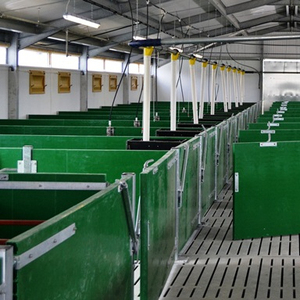 Kết Cấu Thép <span class=keywords><strong>Pig</strong></span> Đổ Nhà - Product Image 4