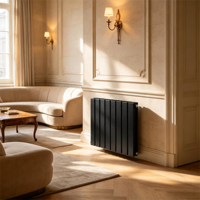 Radiateur convecteur mural en acier inoxydable, panneau chauffant à eau chaude pour chauffage central, fournisseur de radiateurs domestiques