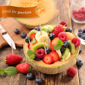 Stuzzicadenti Monouso in Bambù con Contenitori in Plastica - Product Image 6