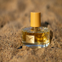 Parfum Unisexe de Luxe Agrumes Boisé – Parfum de Créateur en Gros