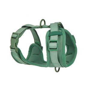 ชุดสายจูงสุนัขแบบปรับได้พร้อมสายรัดไนลอนเคลือบพีวีซีหลากสี สำหรับสุนัขขนาดเล็กและใหญ่ ขายส่ง - Product Image 4