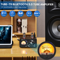 AIYIMA ses T9 BT 5.0 vakumlu tüp amplifikatör USB DAC Stereo alıcı koaksiyel/OPT HiFi ev ses dijital Amp w/VU metre 100W
