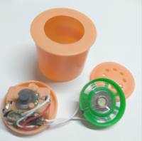 Poupées parlantes avec module sonore à vibration, sons de poupées pour animaux en peluche personnalisés