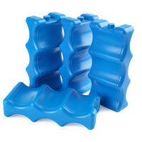 HANERSHI Glacière Réutilisable de Qualité Alimentaire, Portable pour Camping en Extérieur, Pack Chaud & Froid avec Fonction Compresse Froide