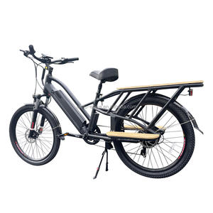 Klassieke Stijl Aluminiumlegering 2 Wielen Cargo Ebike 500W 750W Elektrische Fiets Met Lange Staart Leveren Ebike Voor Volwassenen - Product Image 3