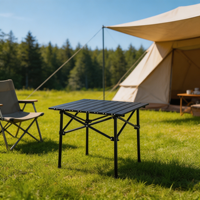 Table de camping pliable multi-tailles avec plateau en acier carbone pour repas et rassemblements en plein air