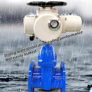 Válvula de Compuerta de Cuchilla de Acero Inoxidable CE ANSI Pn25 DN50-DN600 - Product Image 1