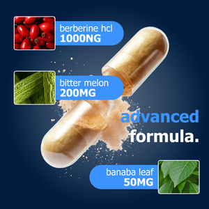 Capsules de Berberine HCL les plus vendues : Gestion du poids, stimulation du métabolisme, soutien de la santé intestinale, avec melon amer - Product Image 3