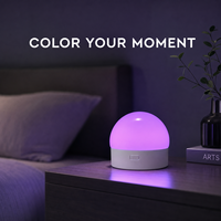 Mini lampe dôme RGB rechargeable, tactile, à intensité variable, 7 couleurs, USB-C, 1800 mAh, pour chambre à coucher, enfants, décoration intérieure, lumière d'ambiance
