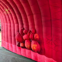 Tunnel corporel gonflable simulé, tunnel rénal pour accessoire d'activité de conférence sur le thème médical, tunnel d'organe gonflable