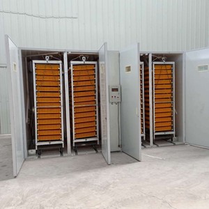 Incubateur à œufs commercial compact et puissant, incubateur industriel pour poulets, éclosoir pour élevages <span class=keywords><strong>de</strong></span> poulets - Product Image 5