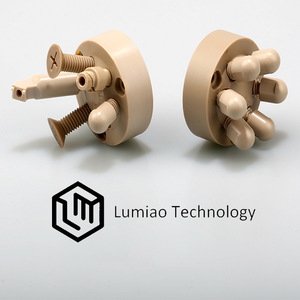 Pièces usinées CNC PEEK de Lumiao Technology, composants de précision avec une tolérance de 0,01 mm pour applications personnalisées - Product Image 3