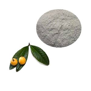 ZD Venda Quente Néspera Deixa Extrato Em Pó 10:1 Folha 20% Ácido Ursólico - Product Image 5