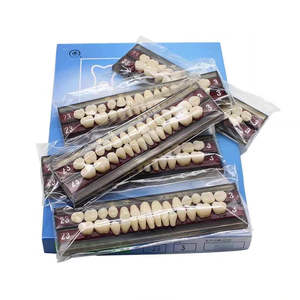 أسنان اصطناعية كاملة من السيراميك والبورسلين مع دبابيس من سبائك الأسنان، 28*1، معتمدة من CE - Product Image 3