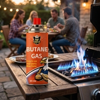 Cartouche de gaz butane jetable OEM avec boîte en fer blanc 220g/227g, gaz de camping universel portable pour la cuisine en plein air et le barbecue