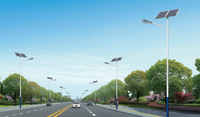 Postes de luz LED inteligentes con cabezales de luz de calle Clasificación IP65 para aplicación en carretera Fuente de alimentación CC