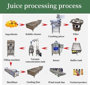 Équipement de nettoyage automatique de presse-fruits 380V à prix <span class=keywords><strong>d</strong></span>'usine avec <span class=keywords><strong>extracteur</strong></span> de jus et machines de remplissage pour ligne de production de jus - Product Image 2