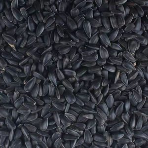 Semillas de Girasol con Cáscara 450g Alimento para Aves Nutrición Suministros para Mascotas Origen Shandong Forma Redonda - Product Image 1