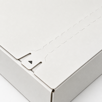 Boîte à languette en carton ondulé Kraft, emballage personnalisé imprimé pour vêtements, chaussures, cadeaux et commandes par abonnement