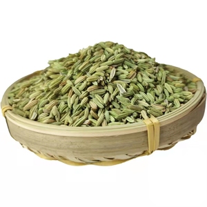 Graines <span class=keywords><strong>de</strong></span> fenouil Huaran <span class=keywords><strong>de</strong></span> qualité supérieure, entières et séchées, pour la cuisine, l'assaisonnement et la préparation culinaire quotidienne - Product Image 1