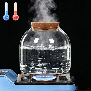 Vase <span class=keywords><strong>en</strong></span> verre borosilicate de haute qualité, résistant à la chaleur, <span class=keywords><strong>pot</strong></span> hydroponique avec couvercle <span class=keywords><strong>en</strong></span> liège pour la décoration intérieure et les cadeaux (vente <span class=keywords><strong>en</strong></span> gros) - Product Image 5