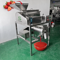 Industriële bessen- en fruitpulpermachine voor het extraheren van aardbeien-, guave- en kersenpuree en een systeem voor fijne zaadseparatie