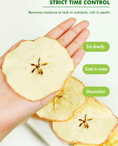 Pomme séchée en tranches <span class=keywords><strong>de</strong></span> culture courante, matière première naturelle sucrée pour l'alimentation, vente en gros en vrac - Product Image 1