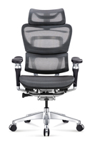 Chaise de bureau ergonomique en maille avec repose-pieds, appui-tête réglable et soutien lombaire, chaise d'ordinateur inclinable, pour l'étude