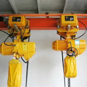 Hot Selling Electric Chain Hoist 12v 1t 2t 3t 4t 5t Directly Factory Price